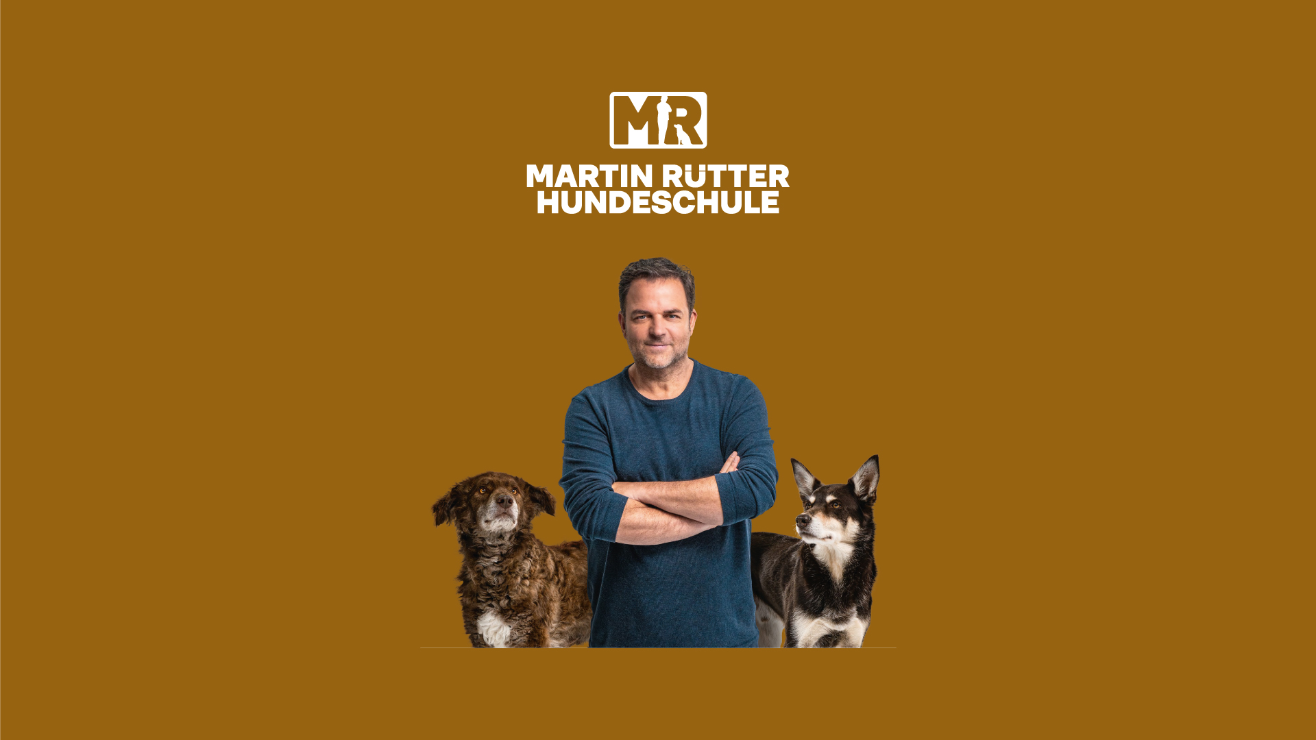 Portfolio Vorschau Martin Rütter Hundeschule